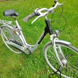 city bike damcykel